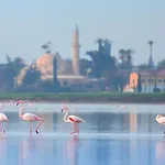 Hotel Indigo By Ihg-adults Only Larnaca