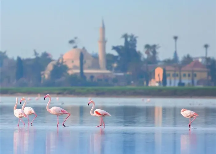 Indigo By Ihg-adults Only Hotell 4*