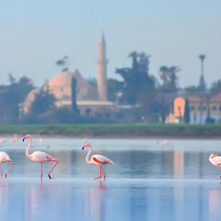 Hotel Indigo By Ihg-adults Only Larnaca