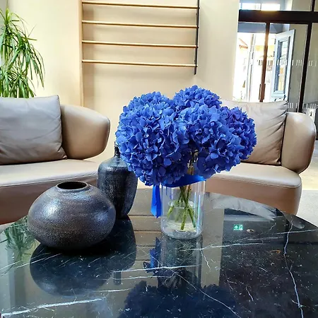 Hotel Indigo By Ihg-adults Only Larnaca